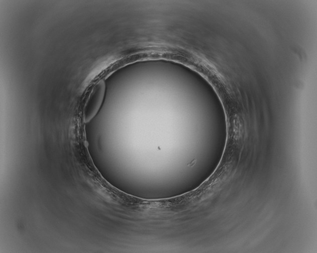 X0000113931352200909251211