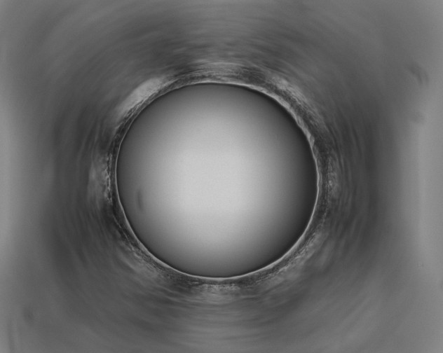 X0000113931354200909251211