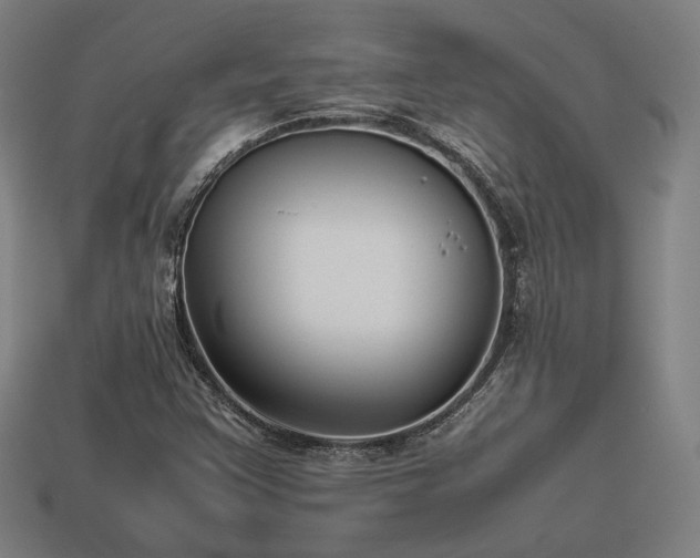 X0000113931355200909251211