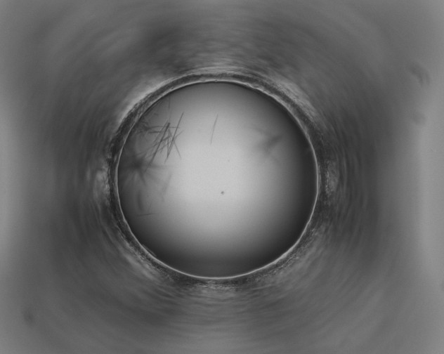 X0000113931356200909251211