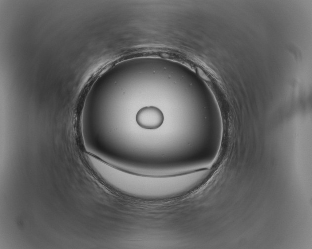 X0000113931357200909251211