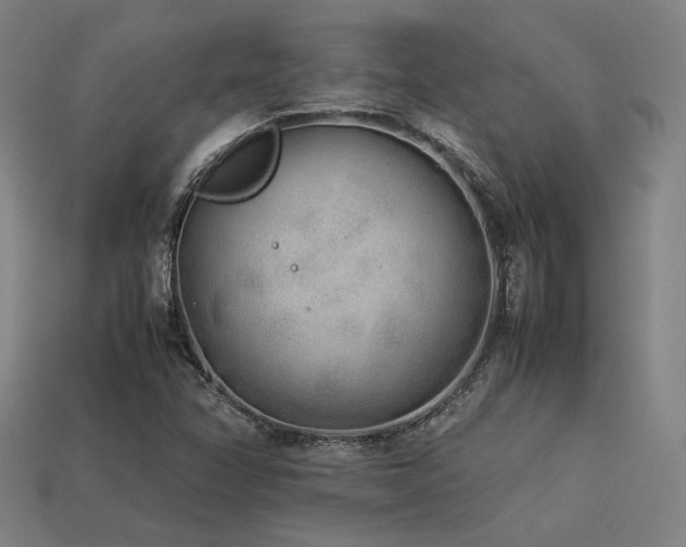 X0000113931358200909251211