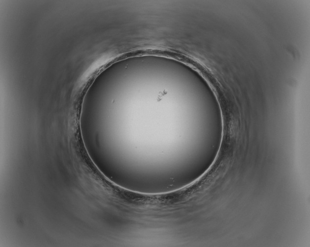 X0000113931359200909251211