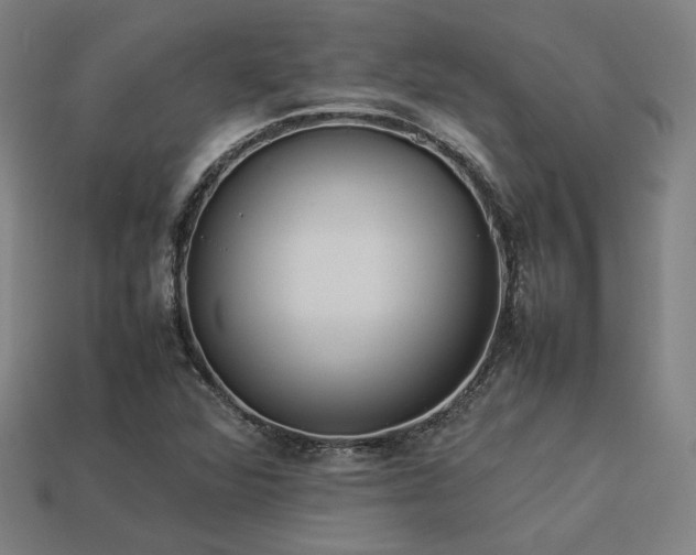 X0000113931360200909251211