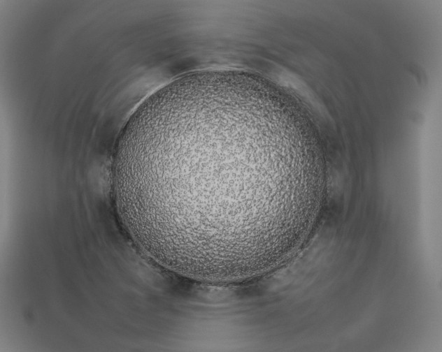 X0000113931361200909251211