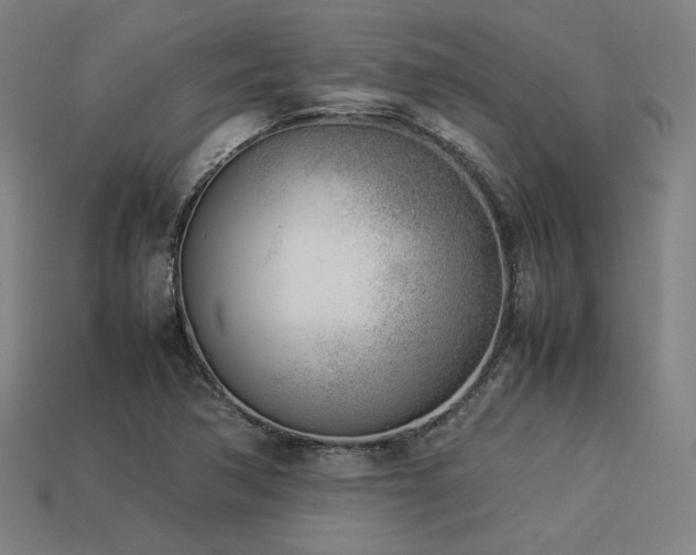 X0000113931362200909251211