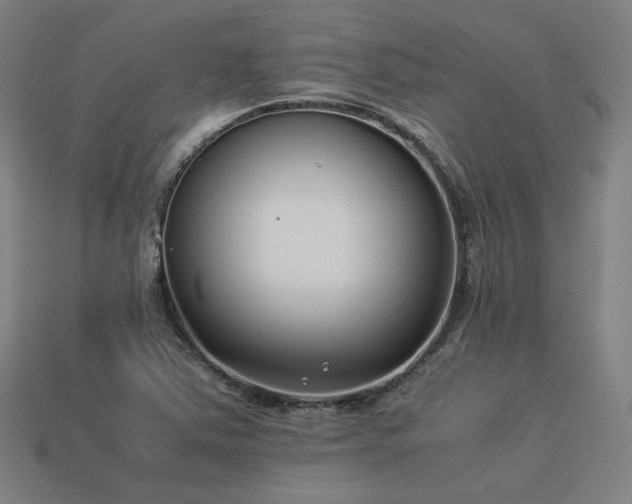 X0000113931363200909251211