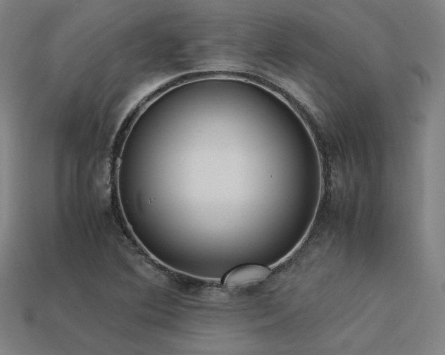 X0000113931364200909251211