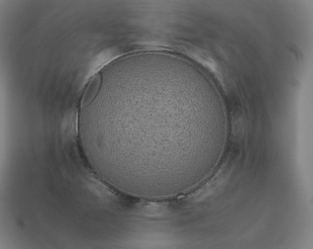 X0000113931365200909251211