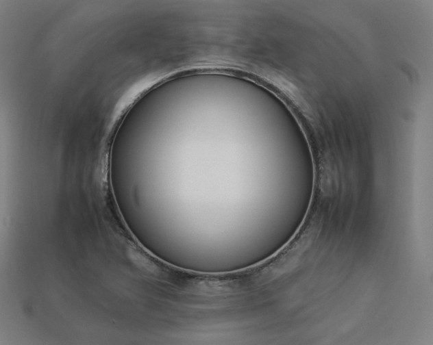 X0000113931366200909251211