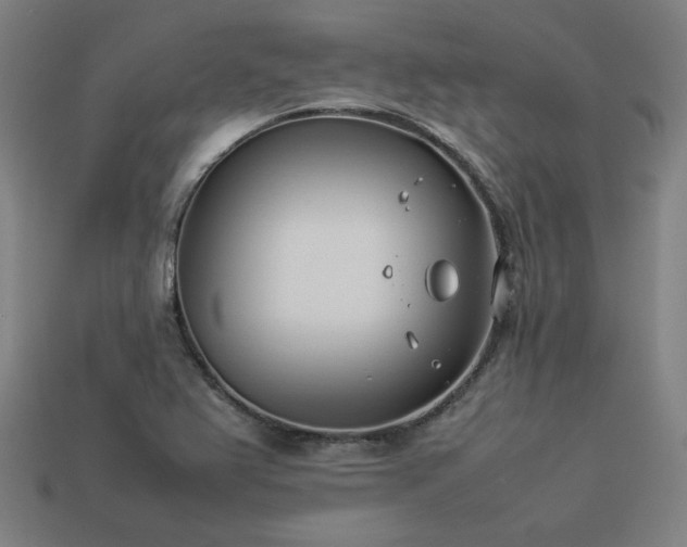 X0000113931367200909251211