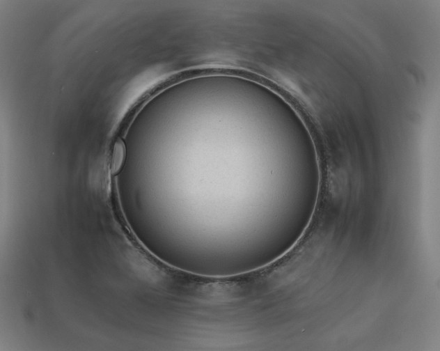 X0000113931368200909251210