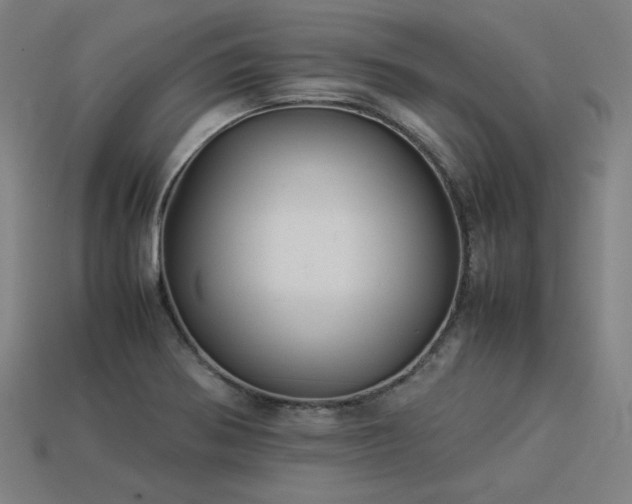 X0000113931370200909251210
