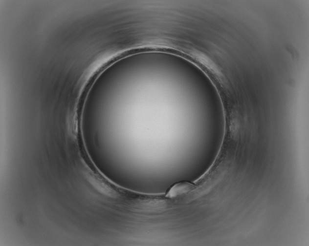 X0000113931372200909251210