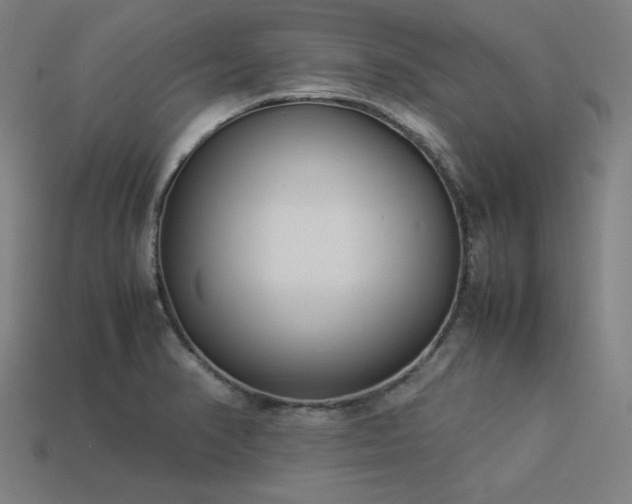 X0000113931374200909251210
