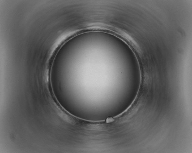 X0000113931376200909251210