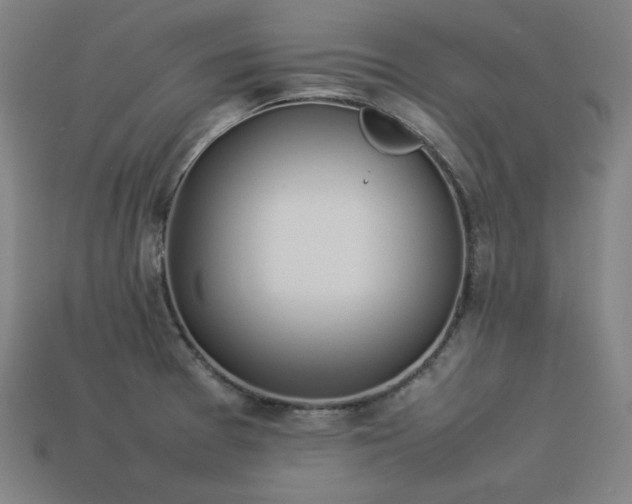 X0000113931377200909251210