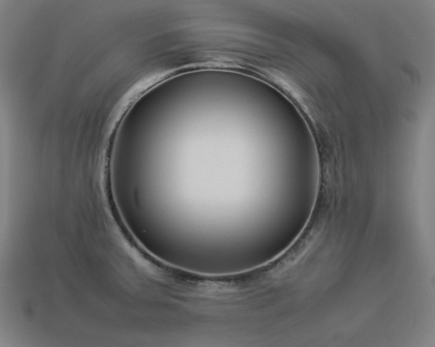 X0000113931379200909251210