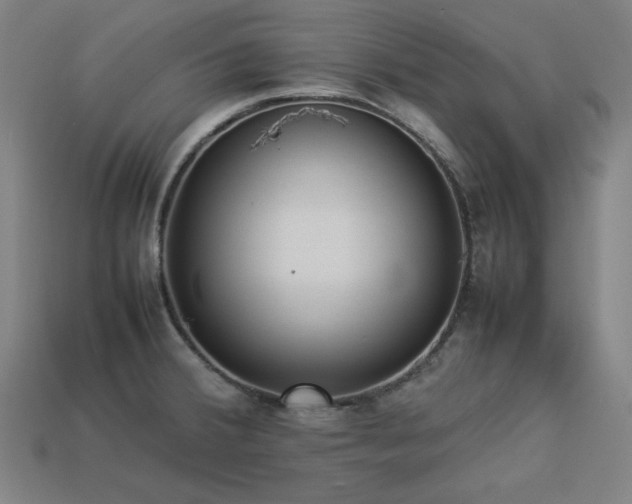 X0000113931380200909251210