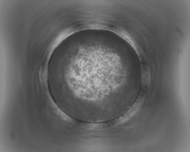 X0000113931381200909251210