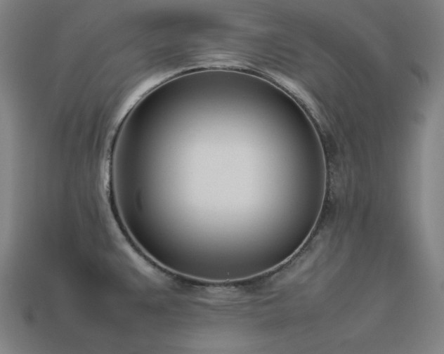 X0000113931383200909251210