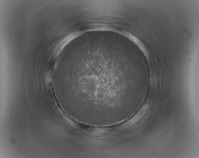 X0000113931385200909251210