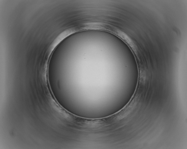 X0000113931386200909251210