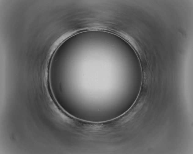 X0000113931387200909251210