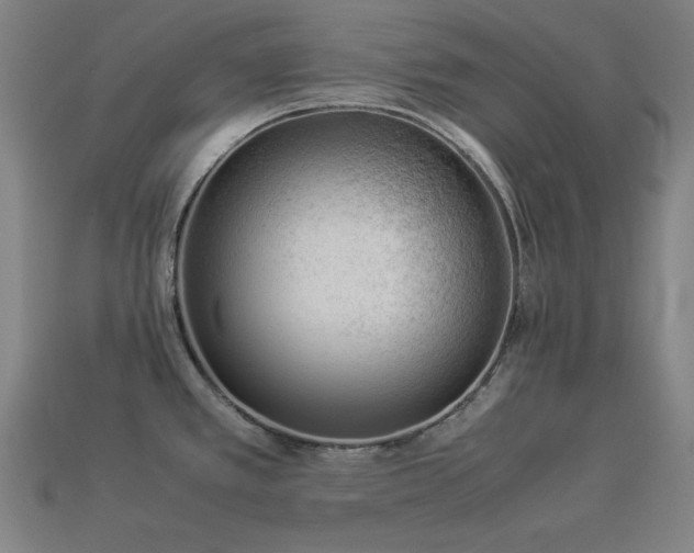 X0000113931389200909251210