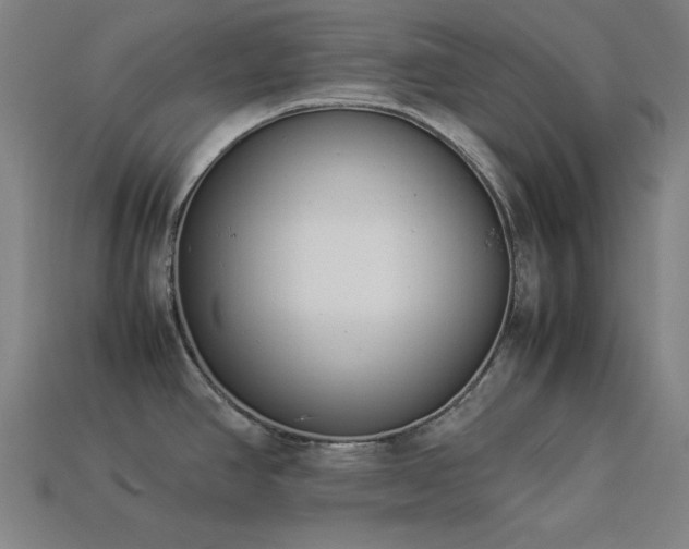 X0000113931390200909251210