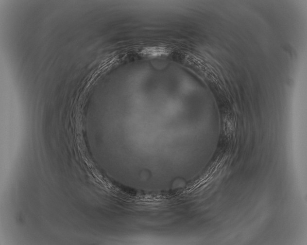 X0000113931393200909251210