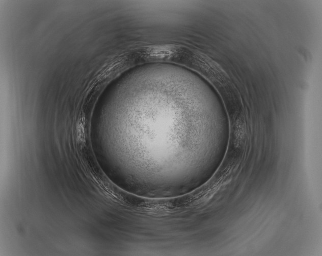X0000113931394200909251210