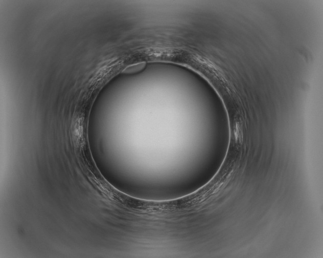 X0000113931396200909251210