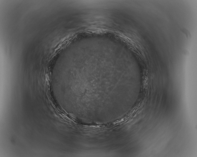 X0000113931397200909251210