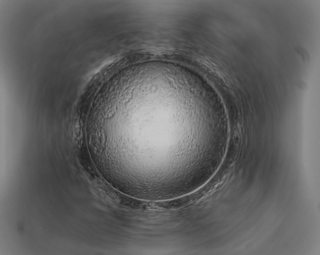 X0000113931398200909251210