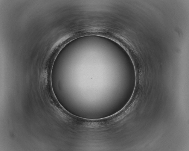 X0000113931402200909251210