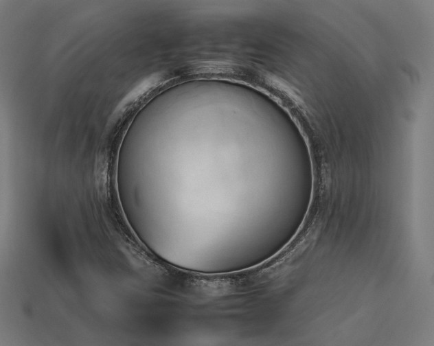 X0000113931403200909251210