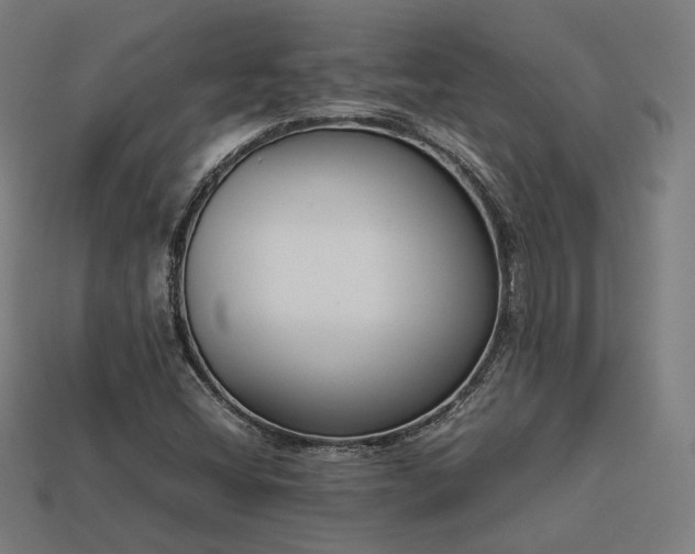 X0000113931404200909251210