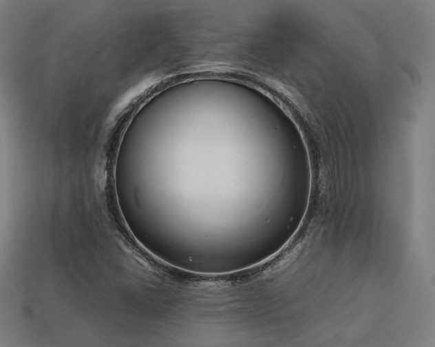 X0000113931406200909251210