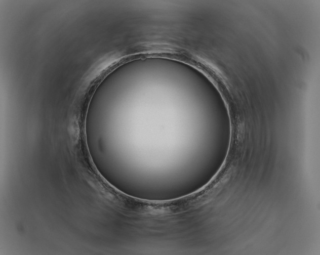 X0000113931407200909251210