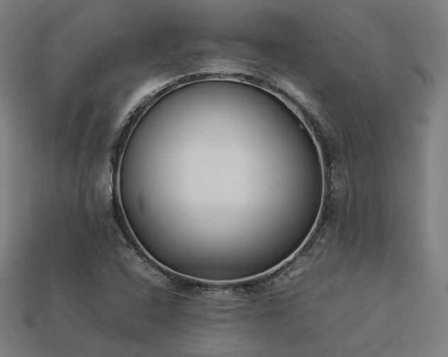 X0000113931408200909251210