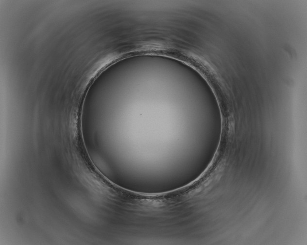 X0000113931409200909251210