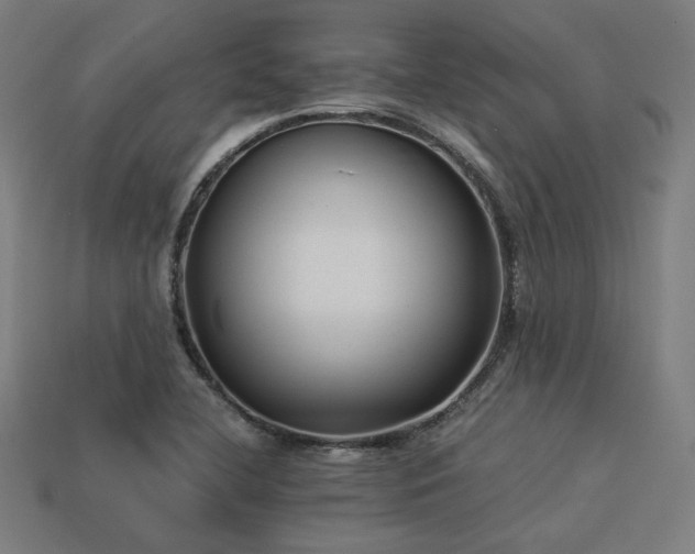 X0000113931412200909251210