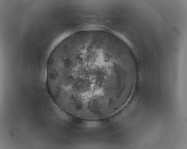 X0000113931413200909251210