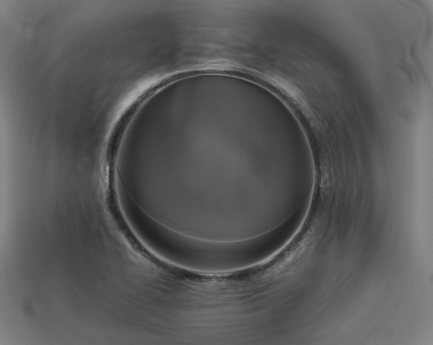 X0000113931414200909251210