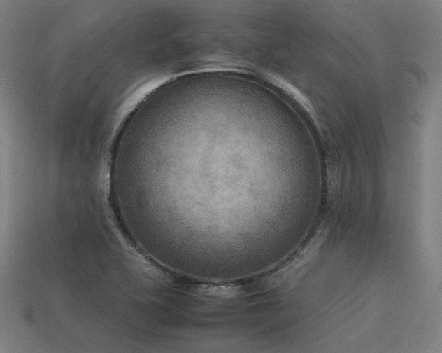 X0000113931415200909251210