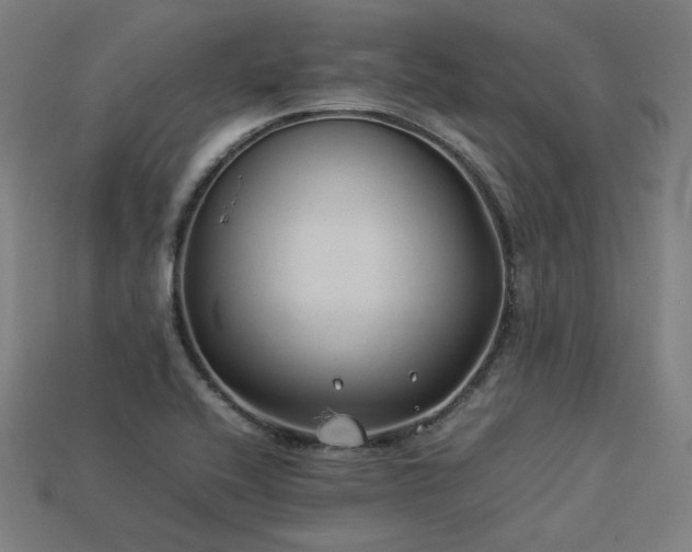 X0000113931416200909251210