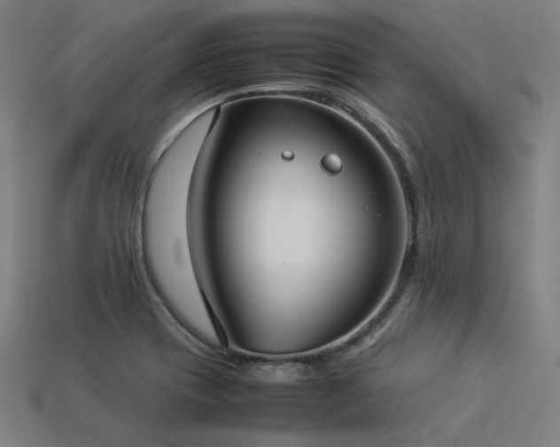 X0000113931417200909251210