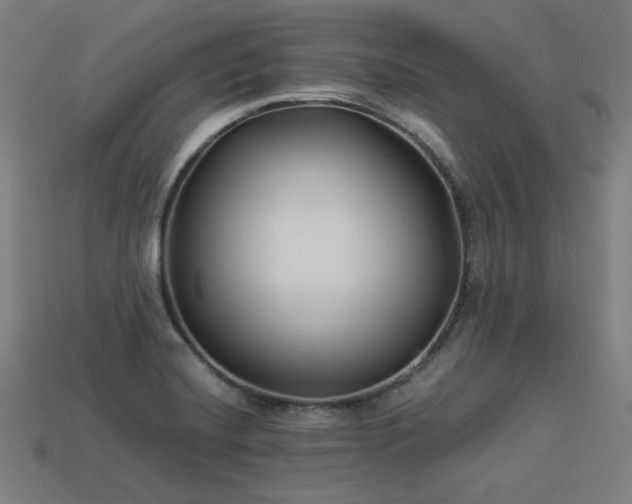 X0000113931420200909251210