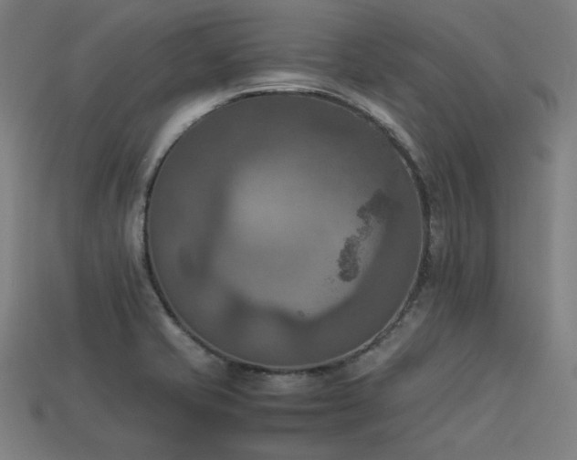 X0000113931421200909251210